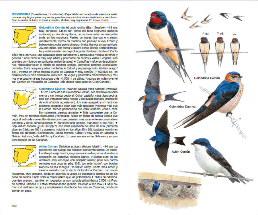 Página de muestra de Aves de España